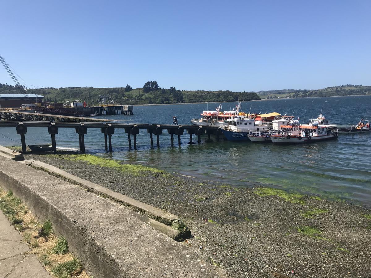 Hospedaje Vista Al Mar 39 カストロ エクステリア 写真